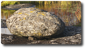VoimaVirtaaTy&ouml;h&ouml;n
